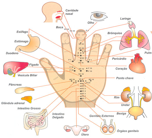 Reflexologia coreana on sale
